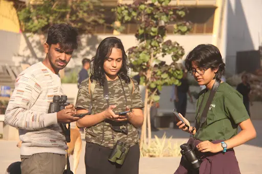 Great Backyard Bird 4